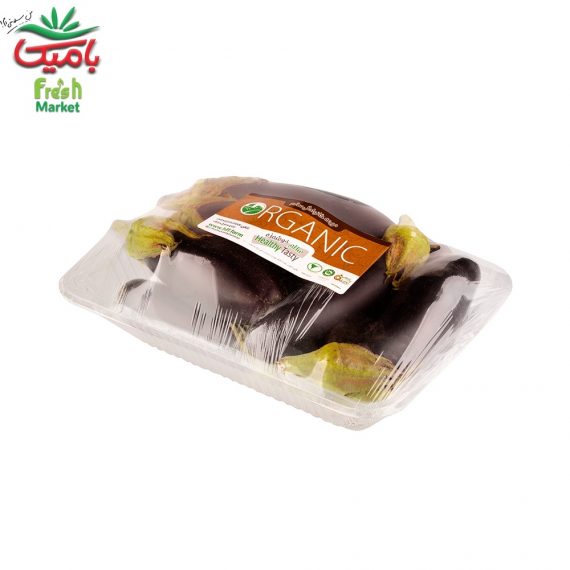 بادمجان قلمی ارگانیک مزرعه سالم