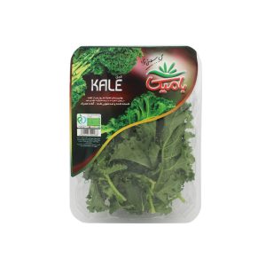 سبزی کیل تازه