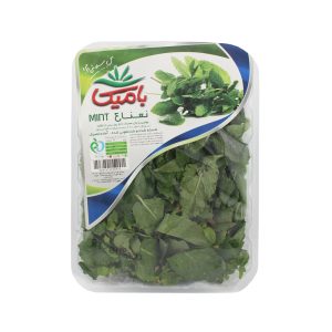 سبزی نعنا تازه