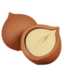 آجیل و خشکبار